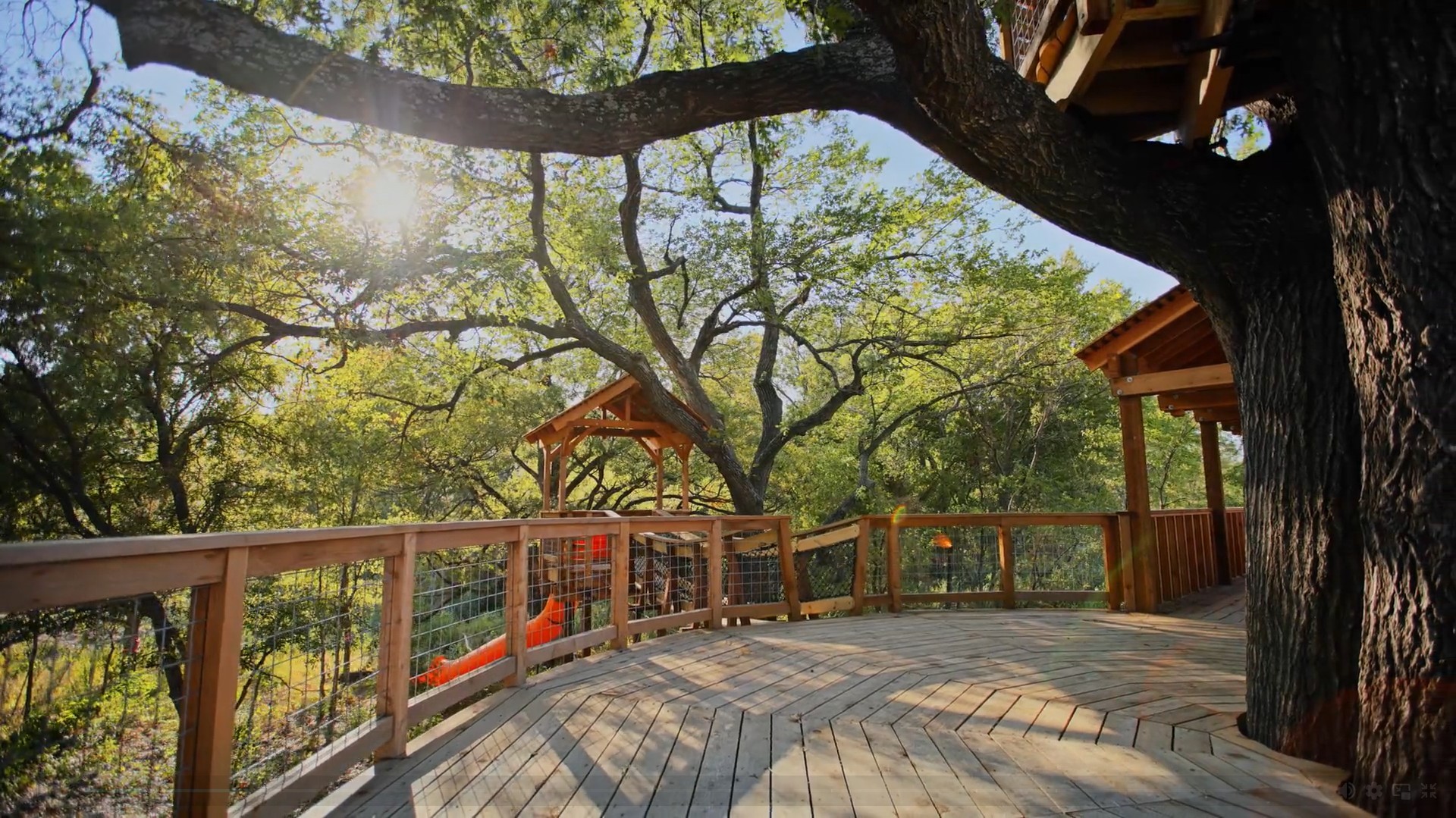 Treehouse Deck with Oak Trees in Solterra Texas Community Wooden deck with railing, treehouse platforms, and oak trees in Solterra Texas community.