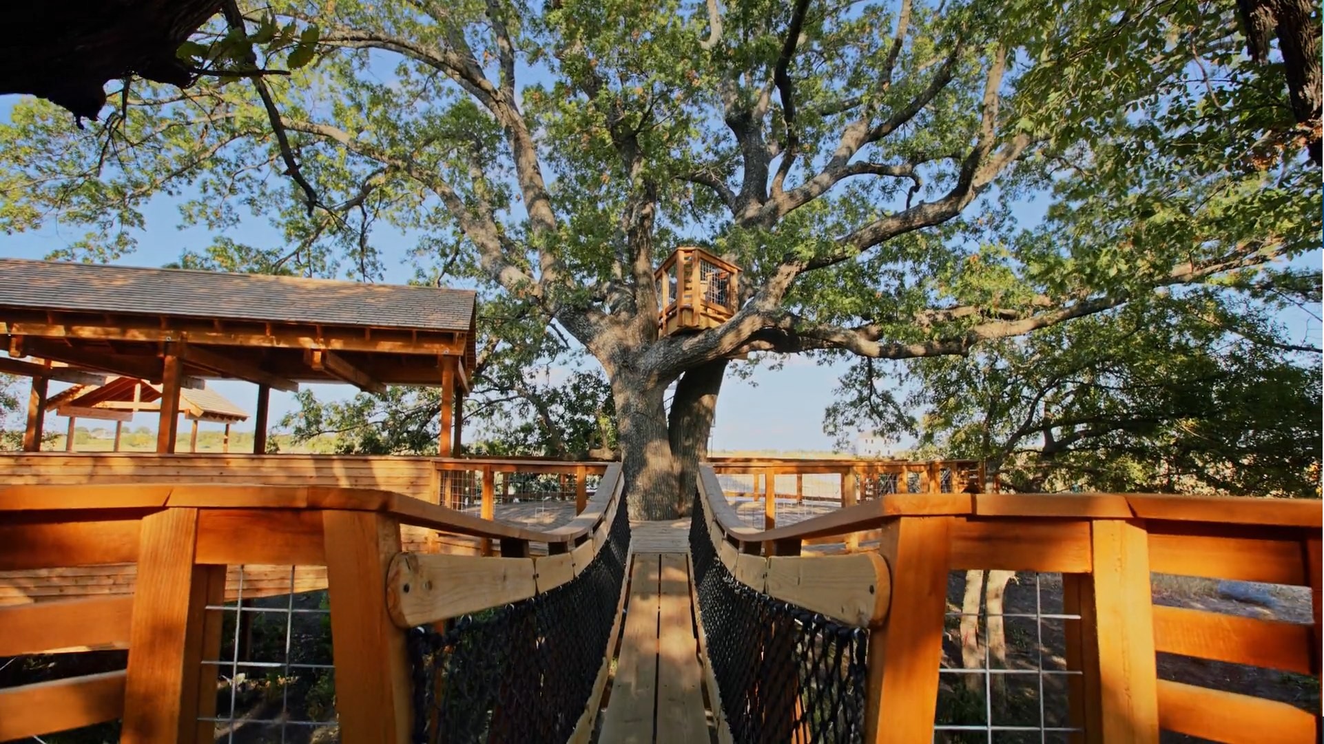 Solterra Texas Treehouse with Suspension Bridge in Oak Tree Treehouse with suspension bridge in oak tree, Solterra Texas, wooden architecture, natural setting.